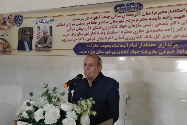 رتبه چهارم استان در تولید تخم‌مرغ
